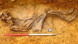 В Британии обнаружили скелет человека, жившего 2 тыс. лет назад