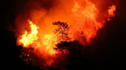 Аномальная жара на юге Европы создала идеальные условия для пожаров
