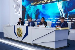 В июле в Казахстане будет открыт национальный центр казахских пород собак тазы и тобет