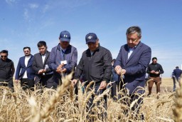 Аграрии региона планируют собрать в ходе уборочной кампании рекордные 7 млн тонн зерна