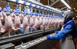 Куры в РК подорожали на 28% за год, окорочка — на 27%