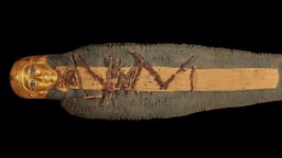 У мумии мальчика, умершего 2300 лет назад, были золотое сердце и язык