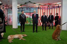 ​Президент осмотрел выставку собак породы тазы