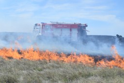Больше 100 пожарных и работников лесных хозяйств тушили возгорание травы около города Кокшетау