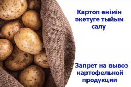 Запрет на вывоз картофельной продукции сохранится еще около месяца