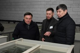В Акмолинской области выращивают рыбу форелевых пород