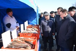 Сельскохозяйственная ярмарка прошла к Празднику единства народа Казахстана в Акмолинской области