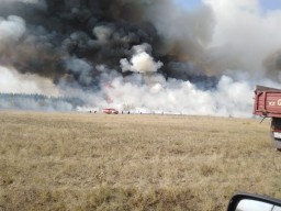 На территории нацпарка произошел пожар в Акмолинской области