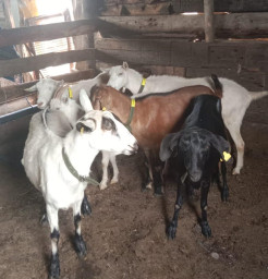 Палата предпринимателей защитила грант от возврата по иску госоргана в Акмолинской области Палата предпринимателей защитила грант от возврата по иску госоргана в Акмолинской области