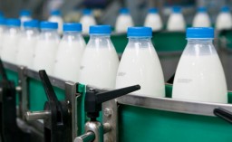 «Гормолзавод» и ещё два казахстанских предприятия начнут экспортировать молочную продукцию в Китай