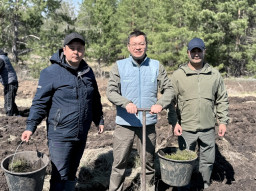 Көкшетауда &laquo;Таза Қазақстан&raquo; акциясы аясында 40 мың көшет отырғызылды