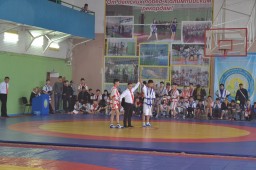 В Акмолинской области прошел турнир, посвященный памяти С.Нурмагамбетова