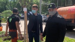 В Алматы прокуроры организовали массовую посадку саженцев, несмотря на запрет санврача