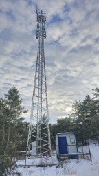 Цифровая трансформация Акмолинской области: итоги 2024 года и планы на 2025 год