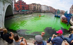 Главный водный канал Венеции окрасился в ярко-зеленый цвет