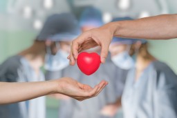 Донорство и трансплантация: рассказываем о самом главном