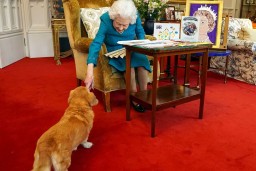 Королева и ее корги. Что теперь будет с любимыми собаками Елизаветы II?