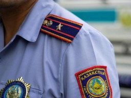Возбудили уголовное дело: акмолинка набросилась с кулаками на полицейского и сорвала погоны