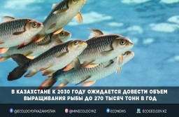 В Акмолинской области (п. Коянды) планируют создать рыбную ферму по выращиванию осетровых видов рыб