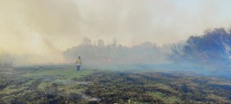 Сухая трава и камыш загорелись в Акмолинской области