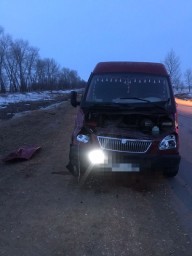 ДТП с участием лошадей произошло в Акмолинской области ДТП с участием лошадей произошло в Акмолинской области