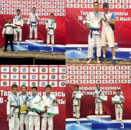 Акмолинцы стали чемпионами страны по джиу-джитсу