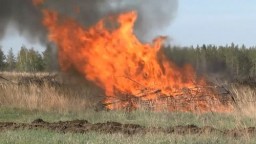 ​В Акмолинской области с начала пожарооопасного периода оштрафованы 30 человек