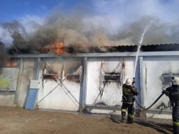 За 43 минуты потушили пожар на Макинской птицефабрике