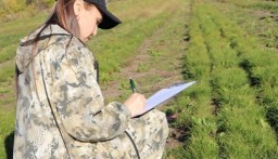 &laquo;Лес не может ждать&raquo;: как инженер по лесовосстановлению возрождает природу