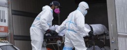 В Эквадоре зарегистрировали первую смерть от оспы обезьян