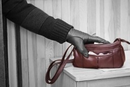 Раскрыта кража дамской сумочки с драгоценностями двухлетней давности