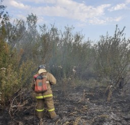 Акмолинские огнеборцы ликвидировали природный пожар в Аршалынском районе