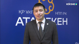 ​Поддержка бизнеса: акцент на рост и снижение давления