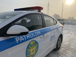 Выстрелило колесо: семье из Петропавловска помогли акмолинские полицейские