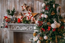 Сотрудник детского дома забрал домой подаренную спонсором новогоднюю елку в Костанае