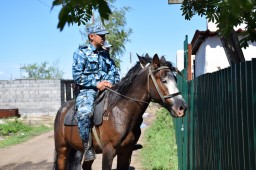 13 преступлений раскрыто конной полицией Кокшетау