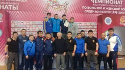 Акмолинские борцы стали призерами Чемпионата Казахстана