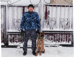 Служебная собака «Виза» помогла по горячим следам задержать похитителей овец в Акмолинской области