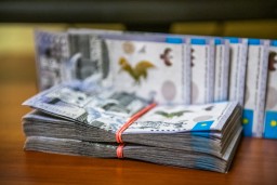 Почти пять миллионов тенге выманили у акмолинки лжепредставители ООН