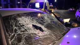 ​Водитель и два пассажира пострадали в результате ДТП с участием лошади в Акмолинской области