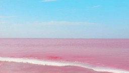 Розовое озеро Кобейтуз хотят отдать в частные руки на 49 лет
