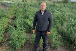 ​В Акмолинский области чиновники полтора года волокитили обращение предпринимателя