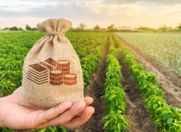 Работник сферы земельных отношений подозревается в мошенничестве в Акмолинской области