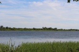 «Возможен обмен»: водоемы Акмолинской области выставили на продажу на сайте объявлений