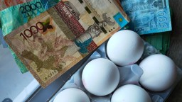Яйца продолжают стремительно дорожать в Казахстане