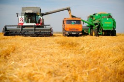 В девяти регионах Казахстана убрано более 600 тыс. га зерновых площадей