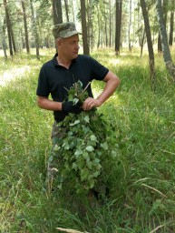 Как в Бурабае спасают диких животных зимой: 450 тонн сена и 137 тысяч веников