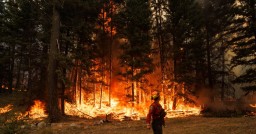 Лесные пожары в Канаде: власти эвакуируют целые города