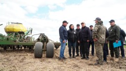 В Акмолинской области засеяно 2,6 млн гектар