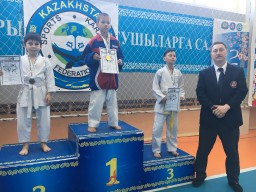 Акмолинцы завоевали «серебро» чемпионата Казахстана по спортивному каратэ WKC